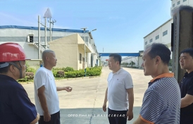 湖北好色先生TV传媒批發