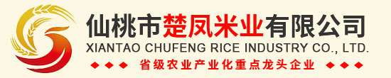 湖北仙桃好色先生TV传媒